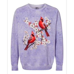 Beautiful Red Cardinal Birds Winter Scene Christmas Pajama Colorblast Crewneck Sweatshirt