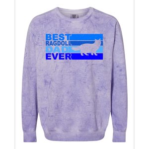 Best Ragdoll Cat Dad Ever Gift Colorblast Crewneck Sweatshirt