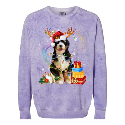 Bernedoodle Reindeer Christmas Lights Funny Dog Xmas Gift Cool Gift Colorblast Crewneck Sweatshirt