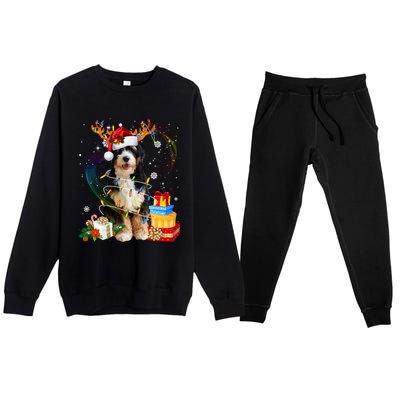 Bernedoodle Reindeer Christmas Lights Funny Dog Xmas Gift Cool Gift Premium Crewneck Sweatsuit Set