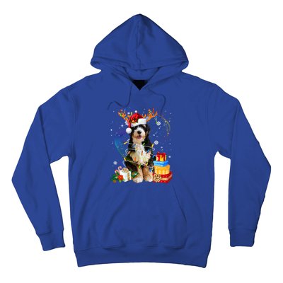 Bernedoodle Reindeer Christmas Lights Funny Dog Xmas Gift Cool Gift Hoodie