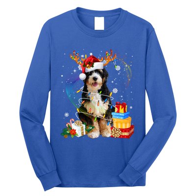 Bernedoodle Reindeer Christmas Lights Funny Dog Xmas Gift Cool Gift Long Sleeve Shirt