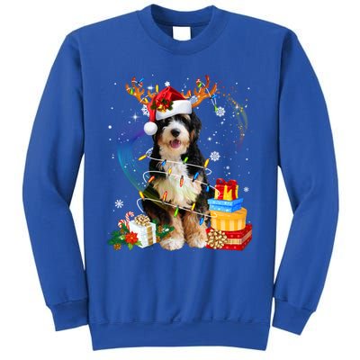 Bernedoodle Reindeer Christmas Lights Funny Dog Xmas Gift Cool Gift Sweatshirt