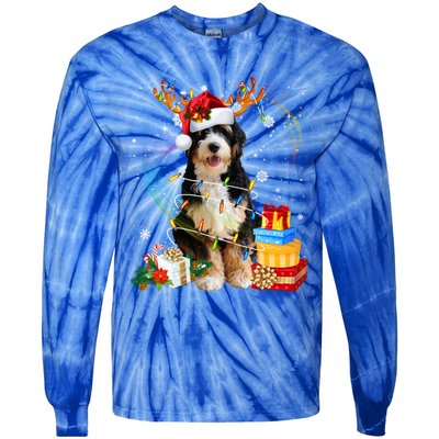 Bernedoodle Reindeer Christmas Lights Funny Dog Xmas Gift Cool Gift Tie-Dye Long Sleeve Shirt