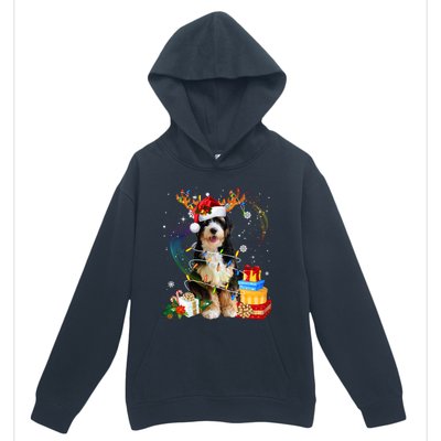 Bernedoodle Reindeer Christmas Lights Funny Dog Xmas Gift Cool Gift Urban Pullover Hoodie