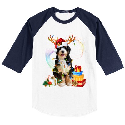 Bernedoodle Reindeer Christmas Lights Funny Dog Xmas Gift Cool Gift Baseball Sleeve Shirt