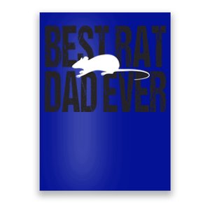 Best Rat Dad Ever Great Gift Poster