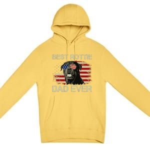 Best Rottie Dad Ever Rottweiler American Flag Gift Premium Pullover Hoodie