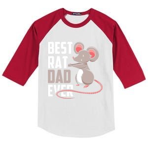 Best Rat Dad Ever Cute Animal Rats Lover Father Daddy Papa Gift Kids Colorblock Raglan Jersey