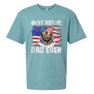 Best Rottie Dad Ever American Flag Dog Owner Animal Lover Sueded Cloud Jersey T-Shirt