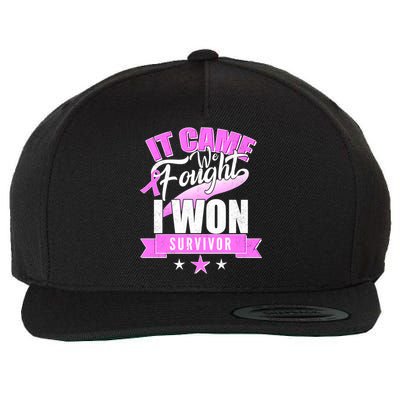 Breast Cancer Survivor It Came We Fought I Won Wool Snapback Cap