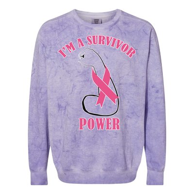 Breast Cancer Survivor Power Colorblast Crewneck Sweatshirt