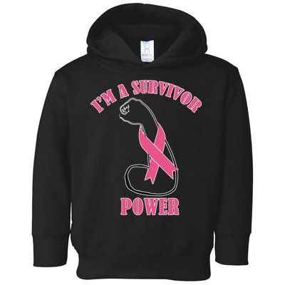 Breast Cancer Survivor Power Toddler Hoodie