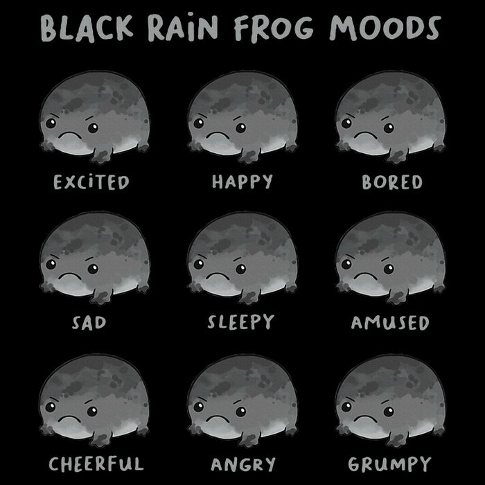 Black Rain Frog Moods Grumpy Black Desert Rain Frog Cropped Pullover Crew