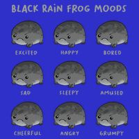 Black Rain Frog Moods Grumpy Black Desert Rain Frog Apron