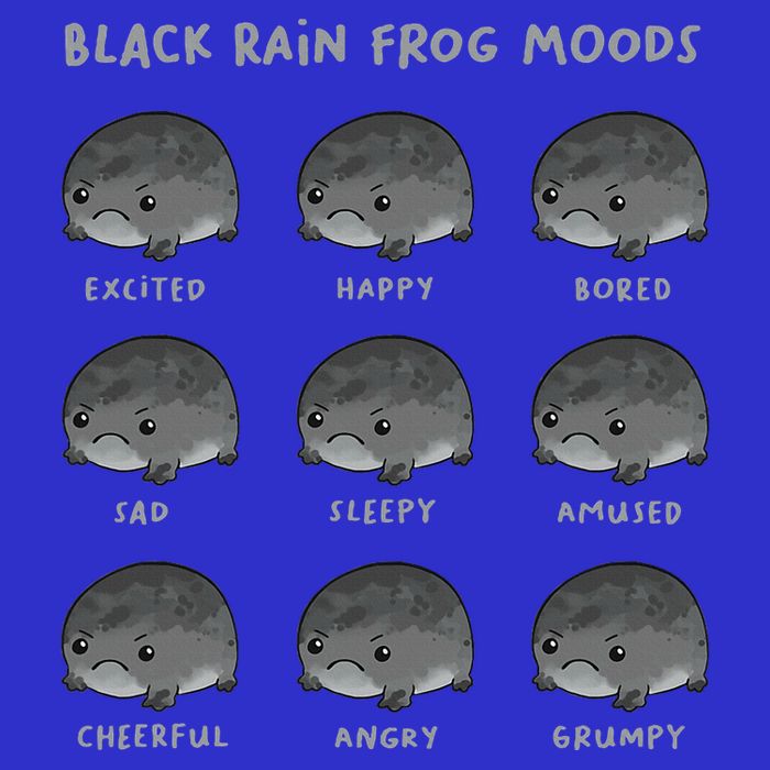 Black Rain Frog Moods Grumpy Black Desert Rain Frog Apron