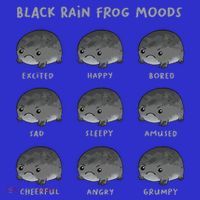Black Rain Frog Moods Grumpy Black Desert Rain Frog T-Shirt