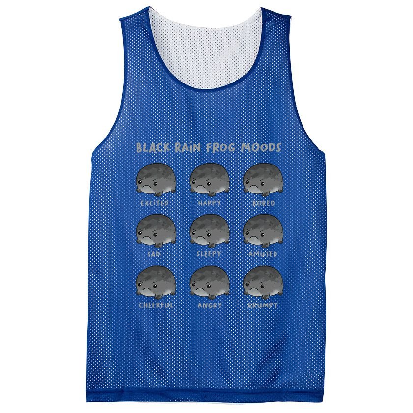 Black Rain Frog Moods Grumpy Black Desert Rain Frog Mesh Reversible Basketball Jersey Tank