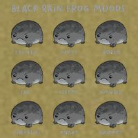 Black Rain Frog Moods Grumpy Black Desert Rain Frog Garment-Dyed Women's Muscle Tee