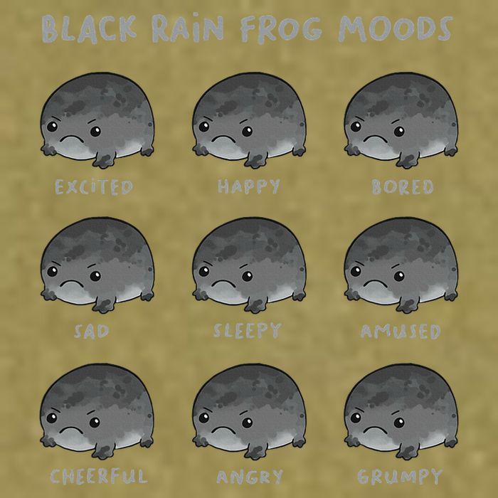 Black Rain Frog Moods Grumpy Black Desert Rain Frog Garment-Dyed Women's Muscle Tee