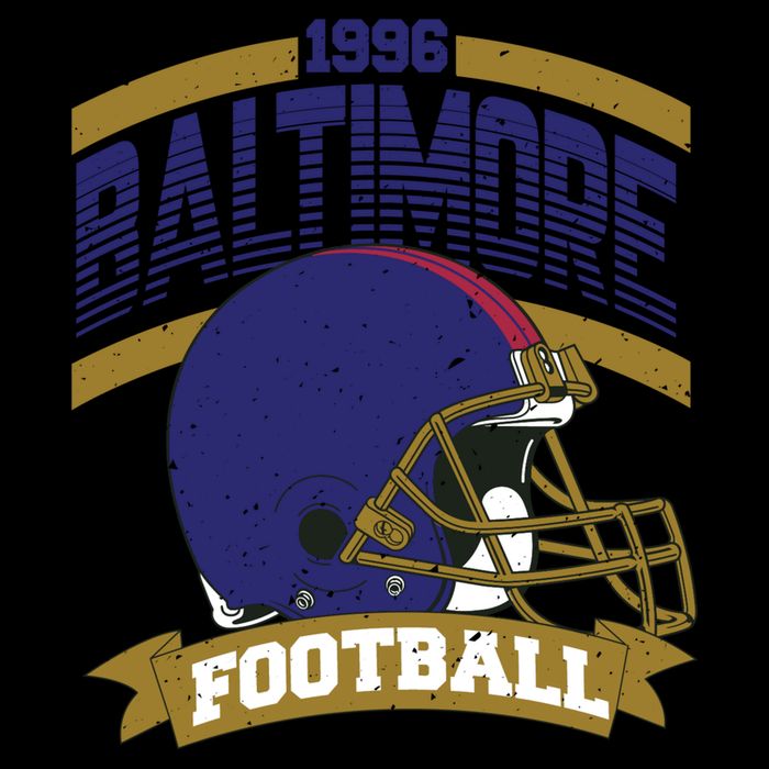 Baltimore Raven Football Team Supporter 16 in Basic Backpack