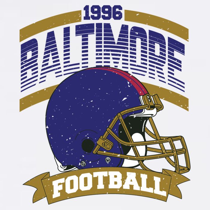 Baltimore Raven Football Team Supporter Button