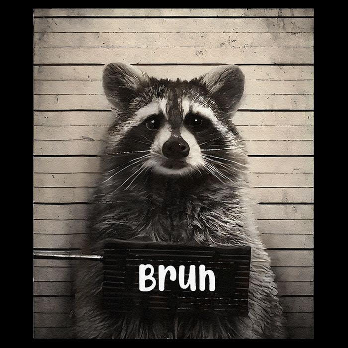 Bruh Raccoon Funny Trash Panda Lover Racoon Meme Bucket Hat