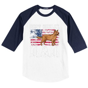 Best Red Heeler Dad American Flag Australian Cattle Dog Baseball Sleeve Shirt