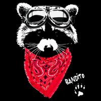 Bandito Raccoon In Red Scarf And Goggles Short Acrylic Beanie