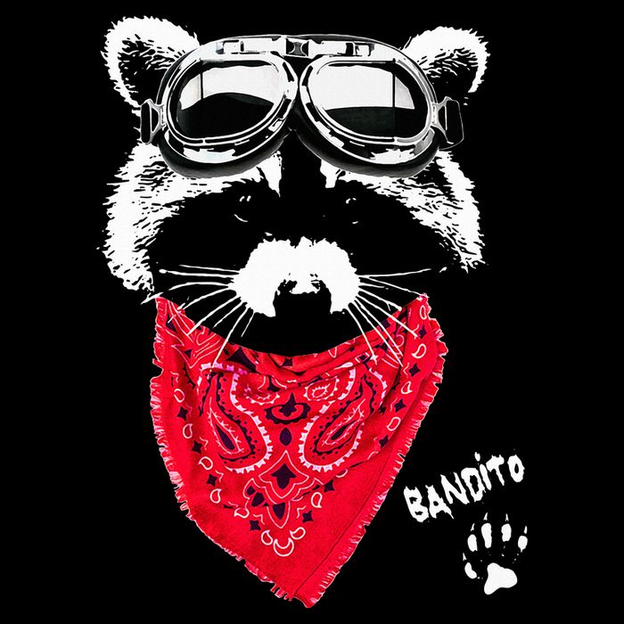 Bandito Raccoon In Red Scarf And Goggles Short Acrylic Beanie
