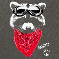 Bandito Raccoon In Red Scarf And Goggles Cotton Canvas Backpack