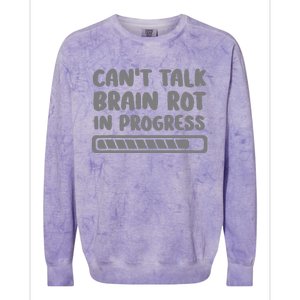 Brain Rot In Progress CanT Talk Gaming Brainrot Meme Colorblast Crewneck Sweatshirt