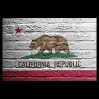 Brick California Republic Bear Flag Women's V-Neck T-Shirt