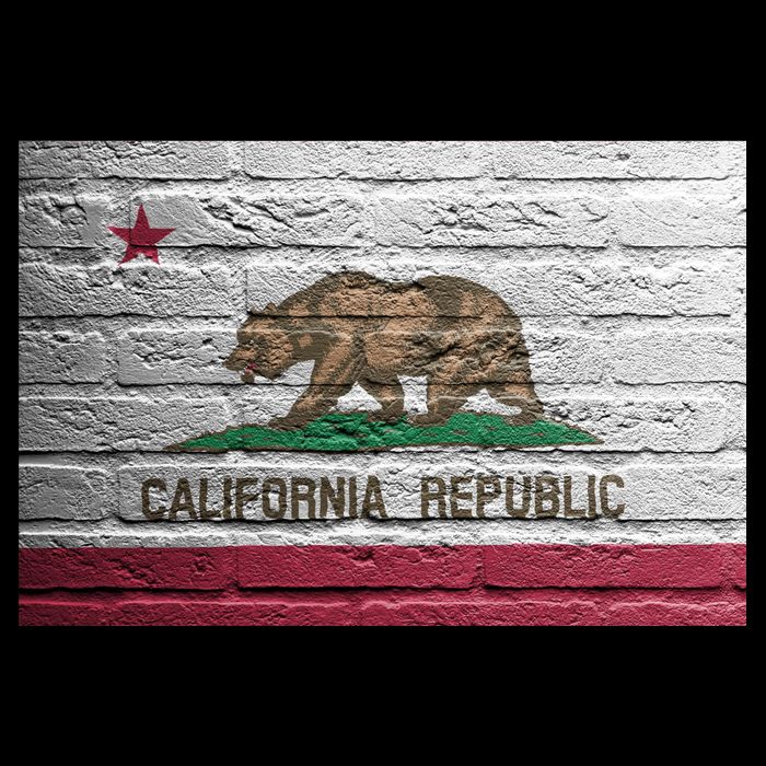 Brick California Republic Bear Flag Women's V-Neck T-Shirt