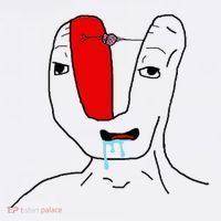 Brain Rot Meme Flatbill Hat