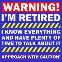 Best Retirement Novelty  Toddler Hoodie
