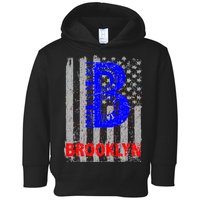 Brooklyn Vintage USA Flag Toddler Hoodie