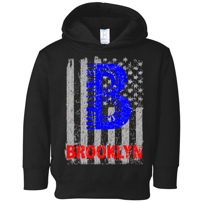 Brooklyn Vintage USA Flag Toddler Hoodie