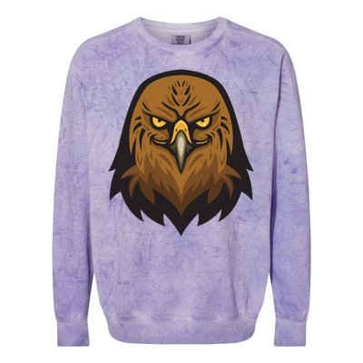 Brown Eagle Colorblast Crewneck Sweatshirt