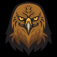 Brown Eagle 16 in Basic Backpack