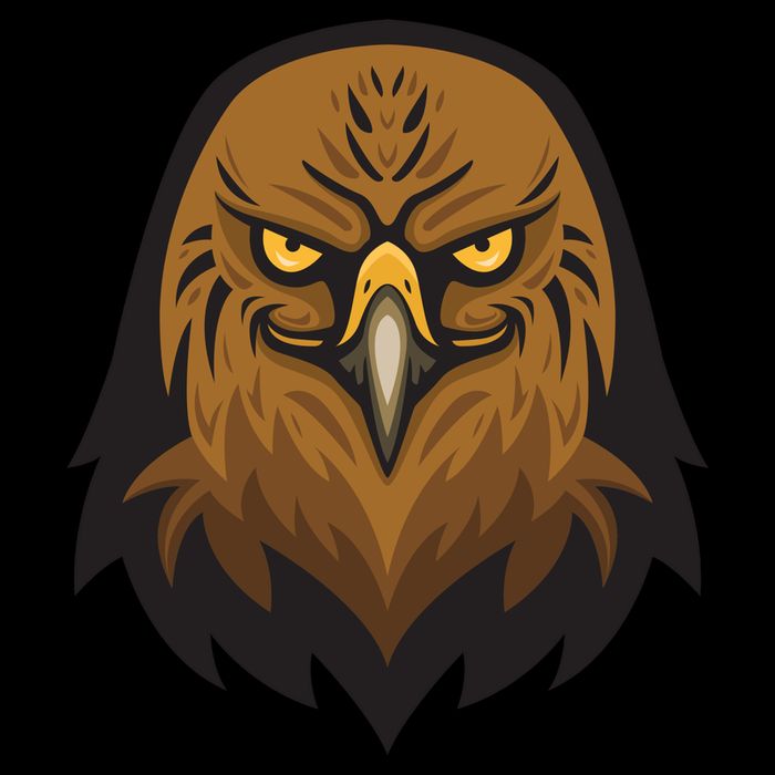 Brown Eagle 16 in Basic Backpack