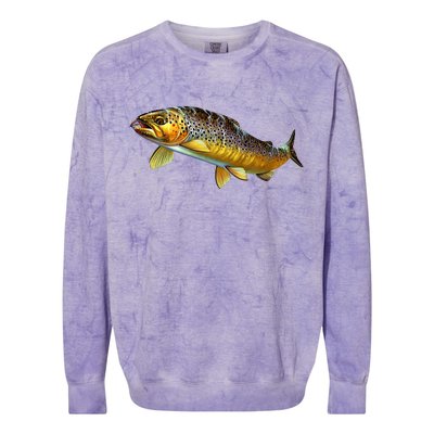 Brown Trout Fish with Fly Colorblast Crewneck Sweatshirt