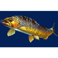 Brown Trout Fish with Fly Bumper Sticker