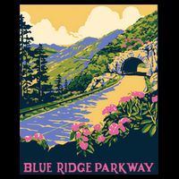 Blue Ridge Parkway 16 in Basic Backpack
