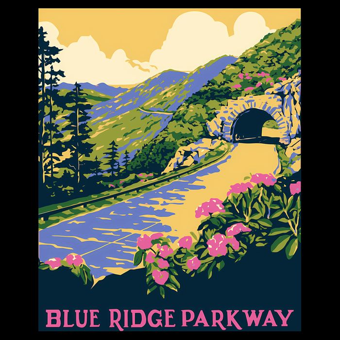 Blue Ridge Parkway 16 in Basic Backpack