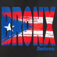 Boricua Roots Puerto Rico Pride PR Bronx Puerto Rico Flag Beanie