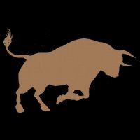 Bull Riding Rodeo Cool Cowboy Rider Birthday Gift Kids T-Shirt