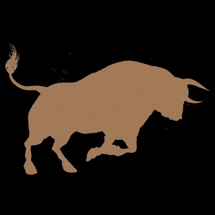 Bull Riding Rodeo Cool Cowboy Rider Birthday Gift Kids T-Shirt