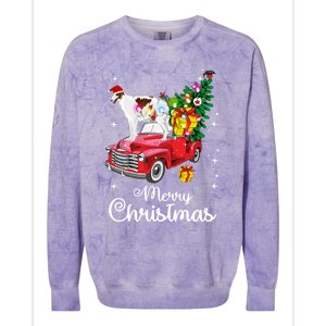 Borzoi Ride Red Truck Christmas Pajama Funny Xmas Dog Cute Gift Colorblast Crewneck Sweatshirt