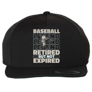 Baseballer Retired Sport Funny Gift Player Team Baseball Gift Wool Snapback Cap